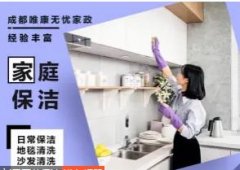 新居开荒保洁，深度保洁，家电清洗，楼宇开荒，厂房保洁，地毯清